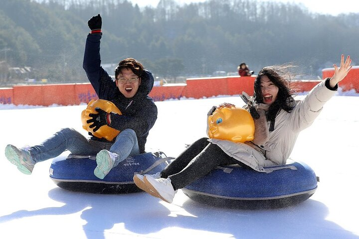 Snowy Land, Alpaca World, and Strawberry Picking from Seoul - Photo 1 of 25